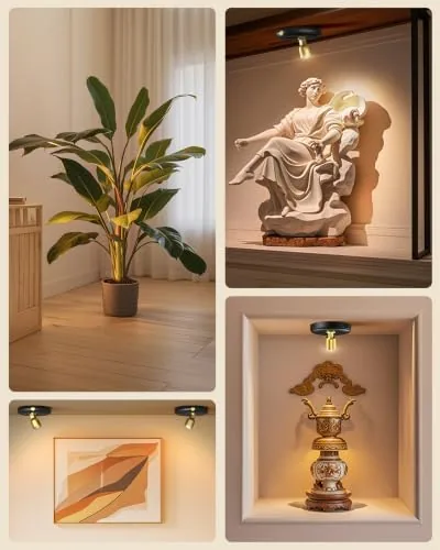 Testing the Rechargeable Battery LED Spotlight Indoor: Wireless Mini Art Accent Spot over two weeks