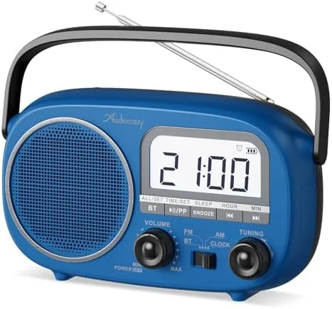 Portable AM FM Rechargeable Bluetooth Radio with Clock | AC Power/ AA Batteries/ Rechargeable Review: Tested and Rated