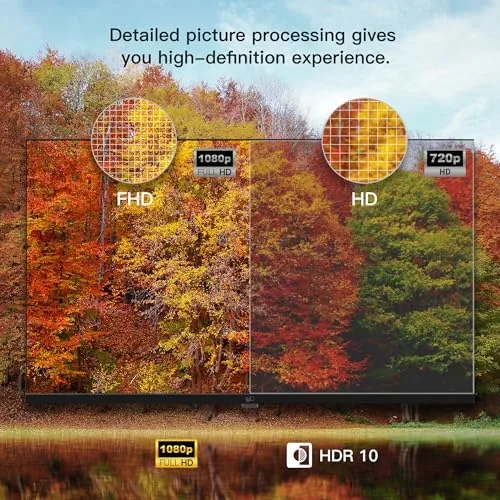 Rear panel of the FPD TV showing the HDMI and USB ports