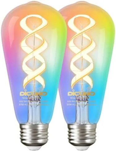 Overview of the DiCUNO Smart Edison Bulb ST19, RGB Color Changing & Tunable