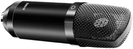 The pop filter positioned in front of the condenser microphone grille
