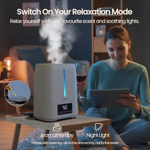 The 6L Top Fill Ultrasonic Humidifier - Cool and Warm Mist compared in context