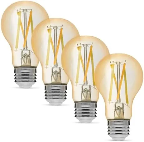 Overview of the Amazon Basics A19 Smart Filament LED Bulb, Tunable White, Dimmable