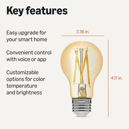 Close look at the Amazon Basics A19 Smart Filament LED Bulb, Tunable White, Dimmable build quality
