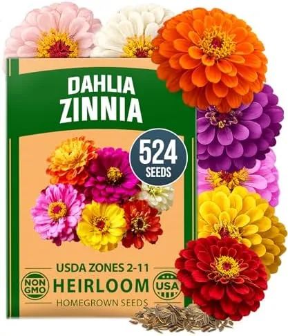 HOME GROWN Zinnia Dahlia Seeds Pack for 2026 Non GMO 524 Flower Seeds | Review: Tested and Rated