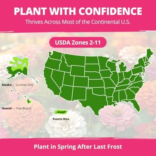 The HOME GROWN Zinnia Dahlia Seeds Pack for 2026 Non GMO compared in context