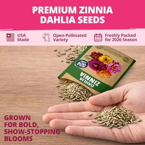 Testing the HOME GROWN Zinnia Dahlia Seeds Pack for 2026 Non GMO over two weeks