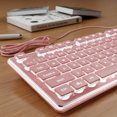 SEUNKWANG Wired Backlit Keyboard with Pudding Keycaps, Quiet Full Size Computer Keyboard White Backlight Review: Tested and Rated