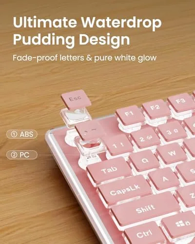 Close look at the SEUNKWANG Wired Backlit Keyboard with Pudding Keycaps, Quiet Full Size build quality
