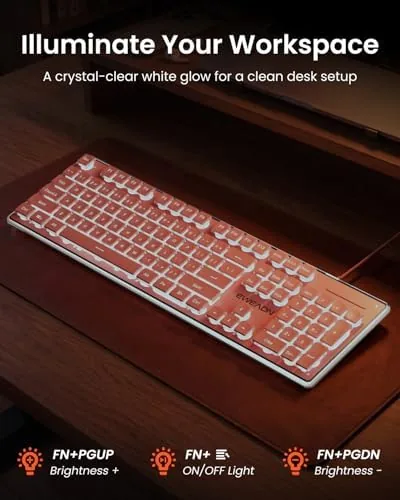 The SEUNKWANG Wired Backlit Keyboard with Pudding Keycaps, Quiet Full Size in real use
