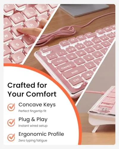 The SEUNKWANG Wired Backlit Keyboard with Pudding Keycaps, Quiet Full Size compared in context