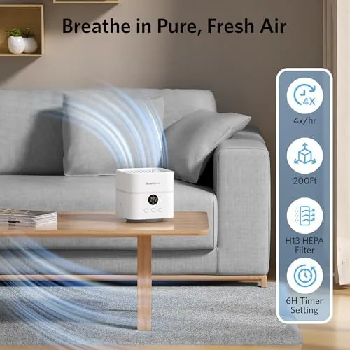 Close look at the Air Purifier and Humidifier Combo for Bedroom, H13 HEPA Filter build quality