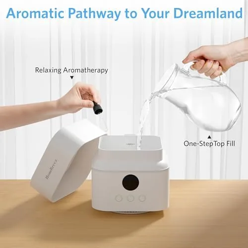 The Air Purifier and Humidifier Combo for Bedroom, H13 HEPA Filter compared in context