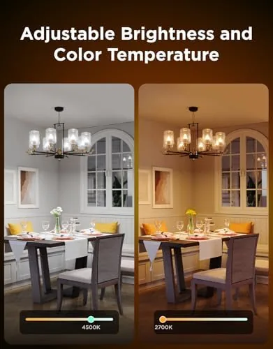 Detail shot of the Govee Smart E12 Led Bulb, RGBWW Color Changing, 2.4GHz Only features