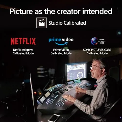 The BRAVIA 5 showing a calibration test pattern during evaluation