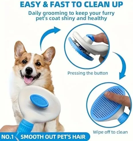 Groomed cat sitting calmly beside a clean, ready-to-use brush