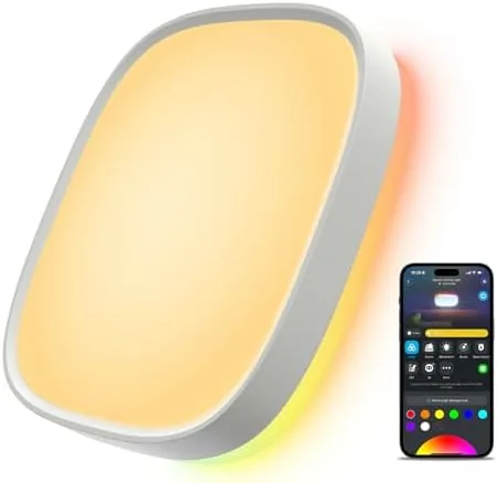 Govee smart ceiling light mounted flush on a living room ceiling