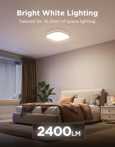 Ceiling light compared with a standard smart bulb fixture