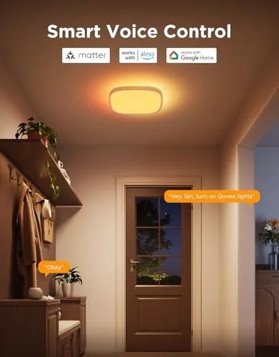 Govee app showing scene modes and color control on a phone