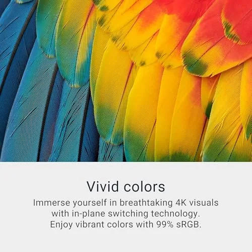 The Dell S2725QS showing a 4K streaming movie with rich and even colors