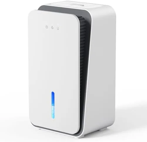 Overview of the Dehumidifier for Home, Quiet Portable Dehumidifier with Auto Shut Off