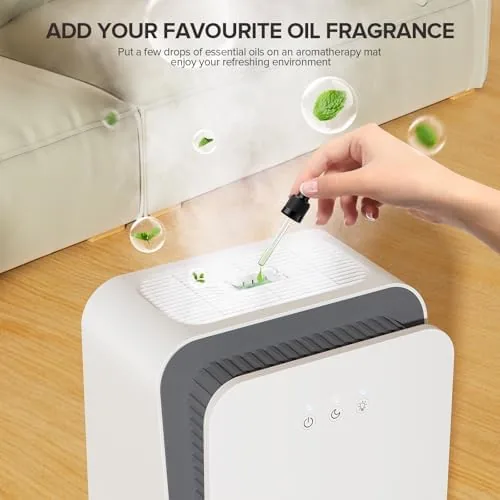 Testing the Dehumidifier for Home, Quiet Portable Dehumidifier with Auto Shut Off over two weeks