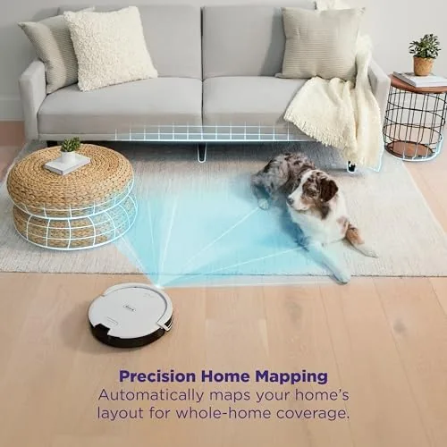 The robot vacuum cleaning a carpeted living room while a cat watches