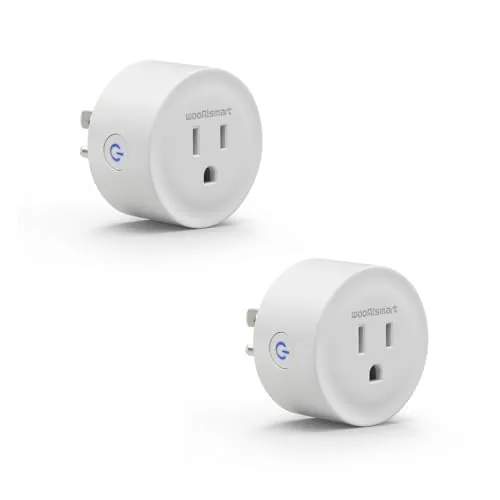 Overview of the Smart Plug, WiFi Plugs Work with Alexa & Google Assistant