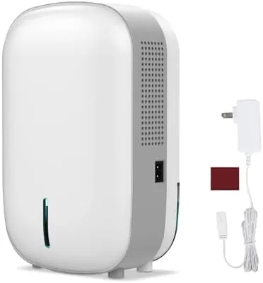 Mini Dehumidifier for Small Bathroom. Quiet. Auto Shut-OFF. Power Off Memory. Electric Dehumidifier for Review: Tested and Rated