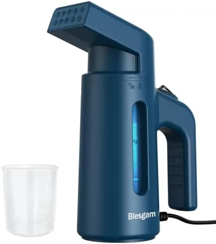 Overview of the Steamer for Clothes 700W, Double Row Steam Handheld Clothes Steamer