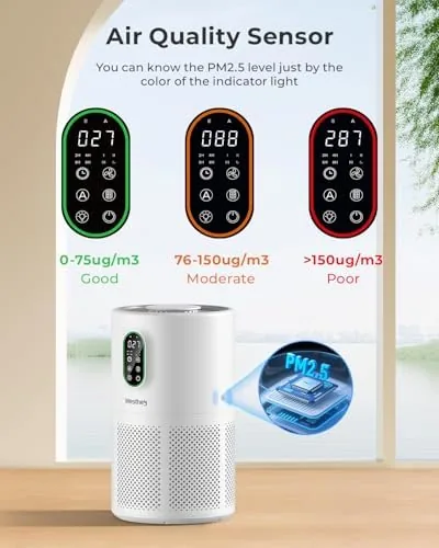 The WESTHEY H13 HEPA Air Purifier for Home up to 1650 in real use