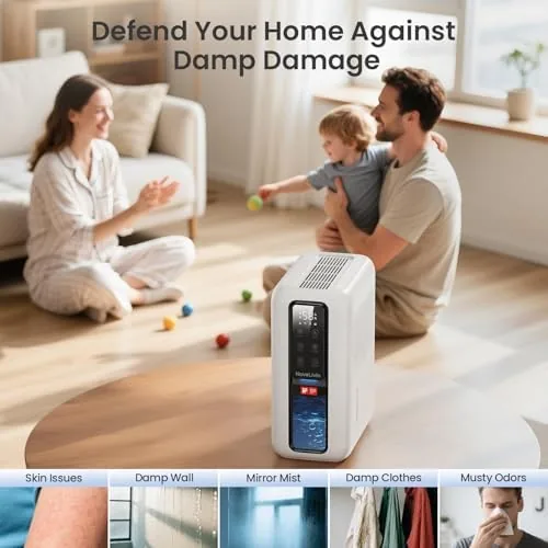 Testing the Dehumidifier for Home, Dehumidifiers for Bathroom, Bedroom, Living room, Closet over two weeks