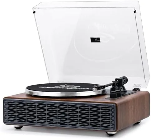 Overview of the Annesburg Vinyl Record Player, Hi-Fi Bluetooth Turntable with Speakers |