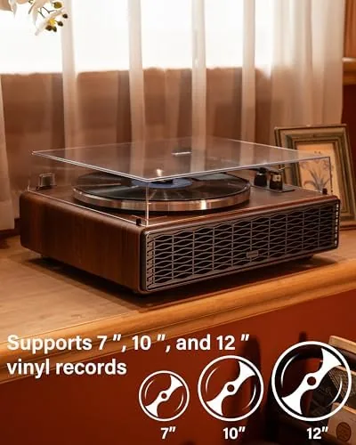 Close look at the Annesburg Vinyl Record Player, Hi-Fi Bluetooth Turntable with Speakers | build quality