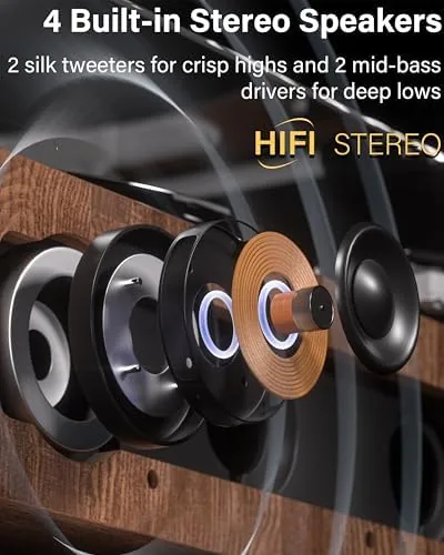 The Annesburg Vinyl Record Player, Hi-Fi Bluetooth Turntable with Speakers | compared in context