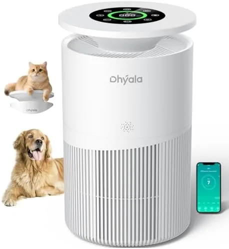 Overview of the Air Purifier for Home Large Room up to 3620Ft², H13