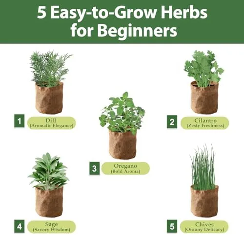 Close look at the 5 Herb Garden Planter Indoor with Wooden Box, Home Kitchen build quality