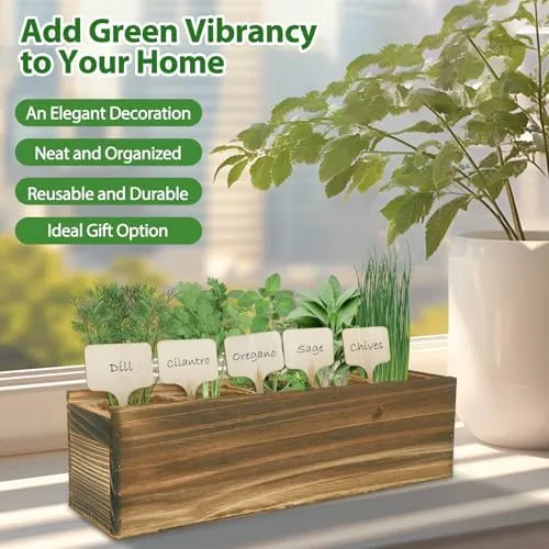 The 5 Herb Garden Planter Indoor with Wooden Box, Home Kitchen in real use