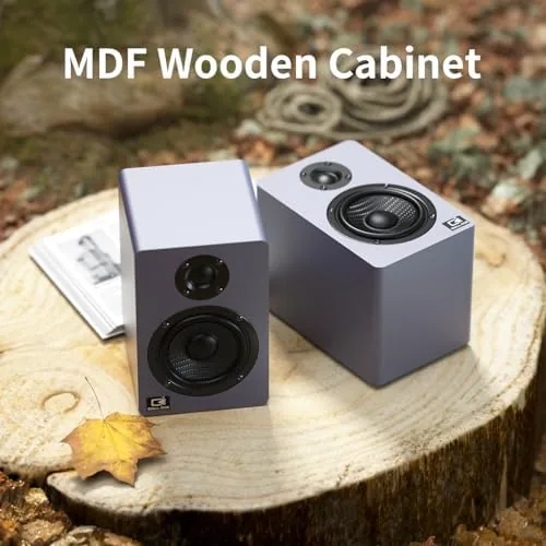 The H2 Bookshelf Speakers, 60W Stereo, Record Player/Computers Speakers, DSP, Carbon-Fiber in real use