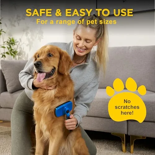Brushing a long haired golden retriever with the deshedding brush