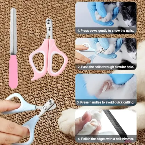 Flea comb being used to inspect a cat coat for fleas and debris