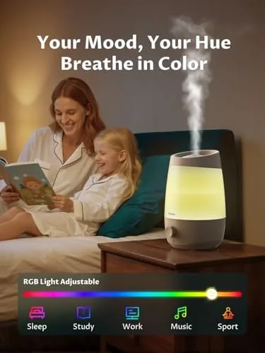 The BREEZOME 2.5L Top Fill Humidifier for Bedroom 250ml/h Mist 25hrs compared in context