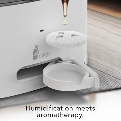The Vornado MISTIC 6 Whole Room Ultrasonic Humidifier, Top-Fill, Aromatherapy, 1.5-Gallon in real use