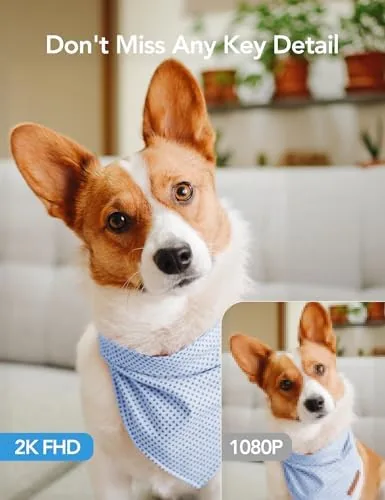 A camera on a shelf overlooking a living room with a pet walking through the frame