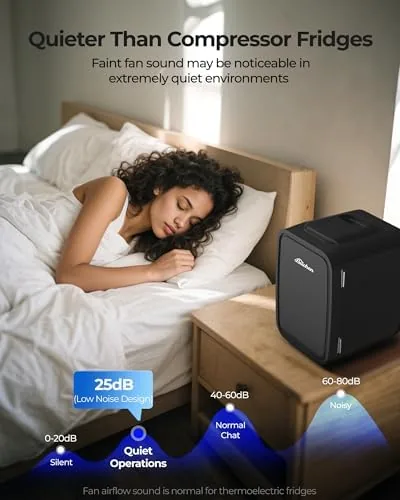 The BEICHEN Mini Fridge 4 Liter/6 Can Portable Compact Refrigerator | compared in context