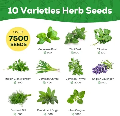 Close look at the 10 Herb Seeds Variety Pack - 7,000+ Heirloom Seeds build quality