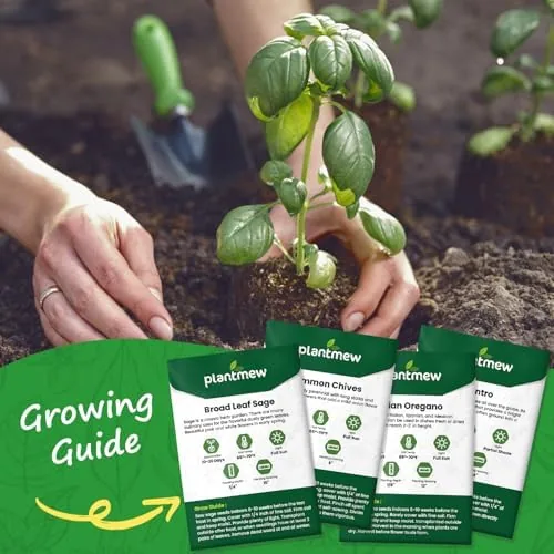 The 10 Herb Seeds Variety Pack - 7,000+ Heirloom Seeds in real use