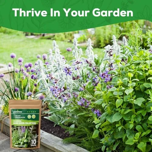 Another view of the 10 Herb Seeds Variety Pack - 7,000+ Heirloom Seeds