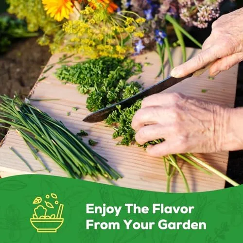 Testing the 10 Herb Seeds Variety Pack - 7,000+ Heirloom Seeds over two weeks