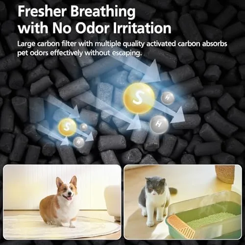 Another view of the Core Mini Filter Replacement for LEVOIT Core Mini Air Purifier